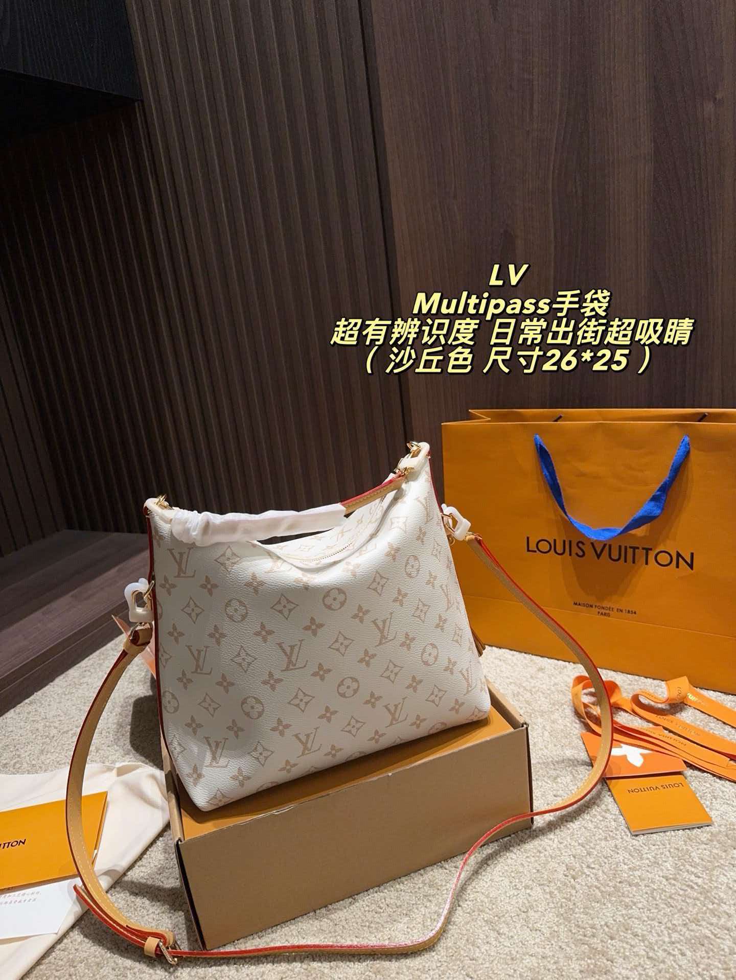 Multipass Handbag