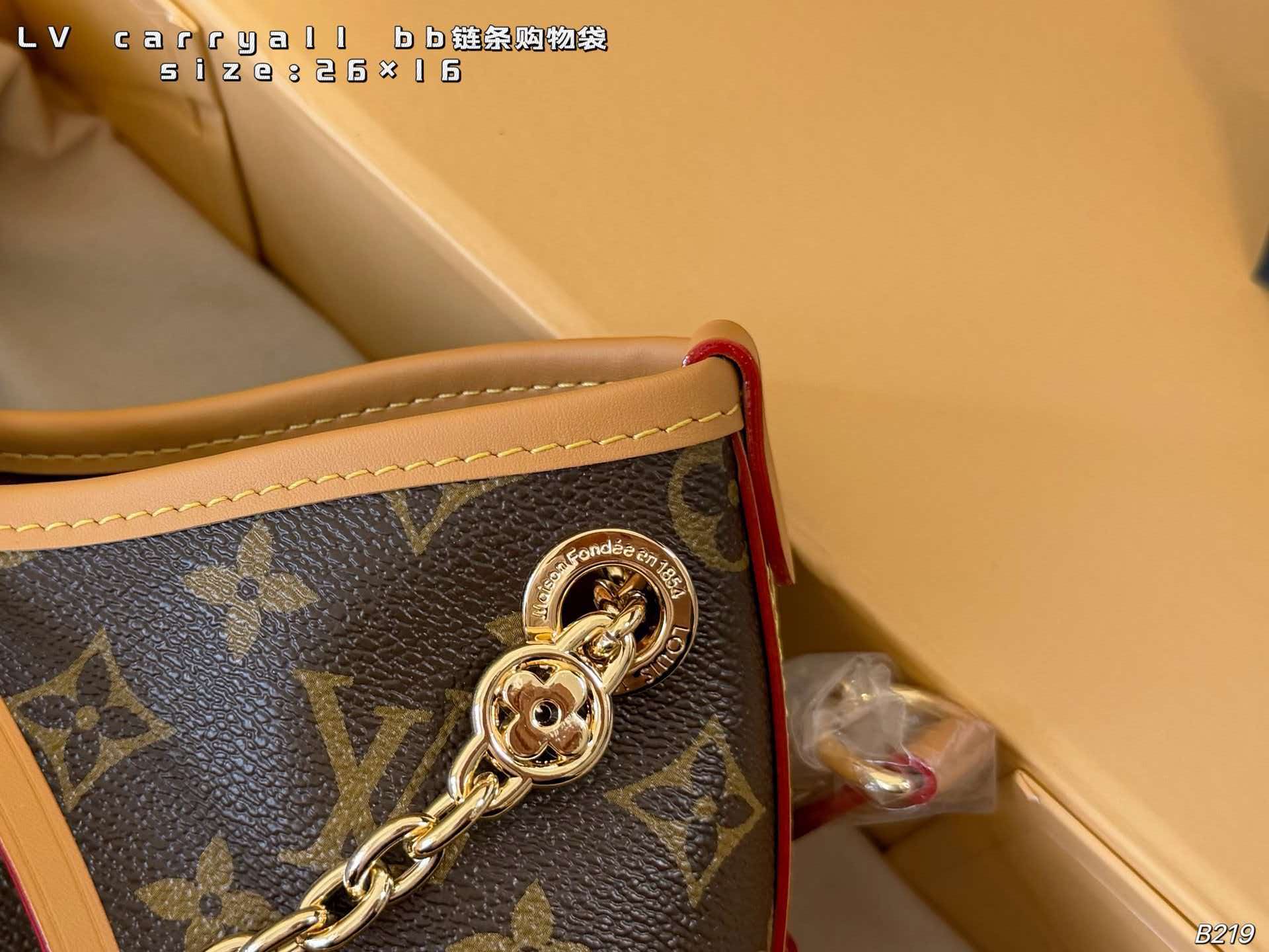 LV Carryall BB Monogram Canvas Chain Hobo Crossbody Bag