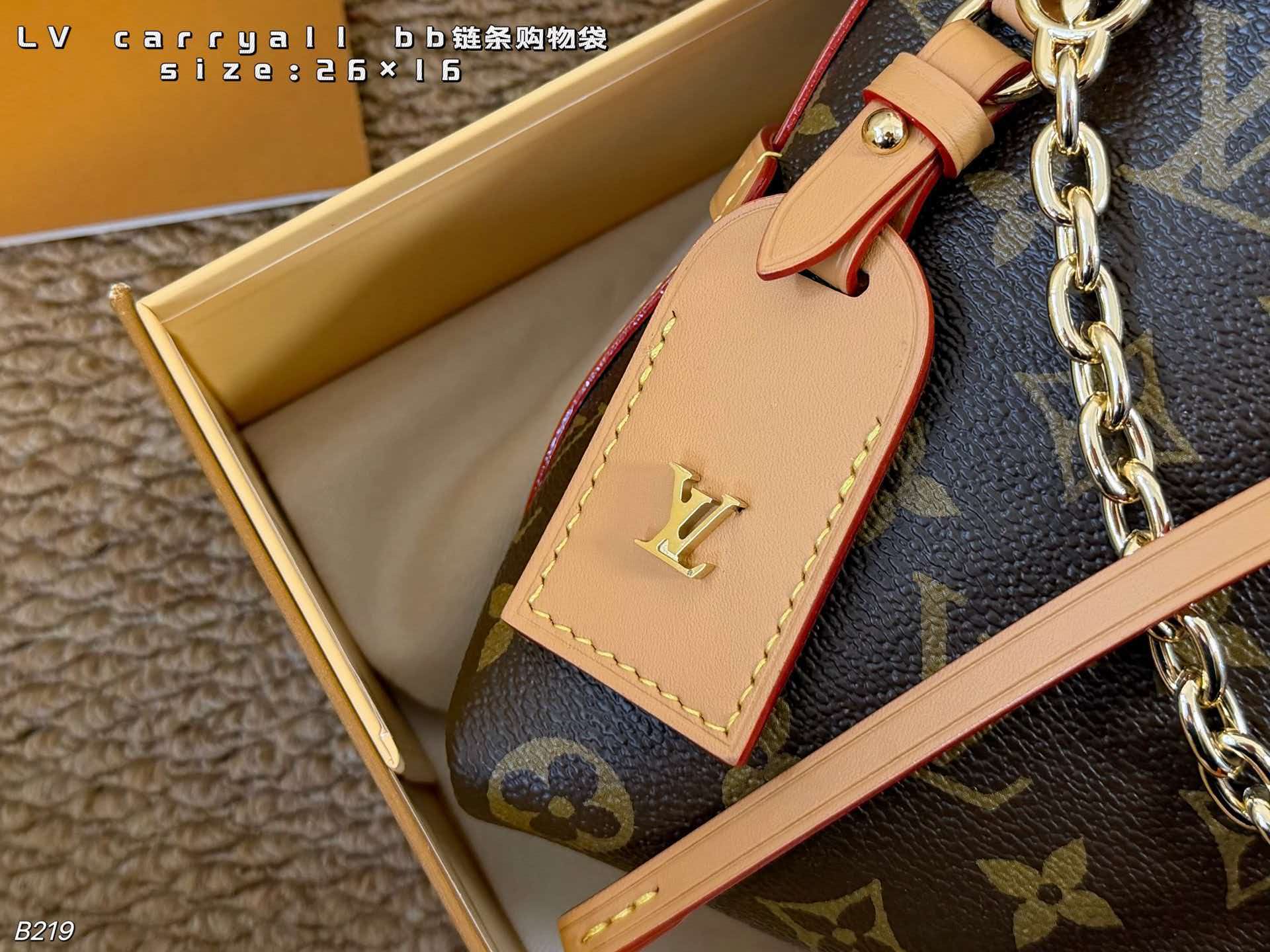 LV Carryall BB Monogram Canvas Chain Hobo Crossbody Bag