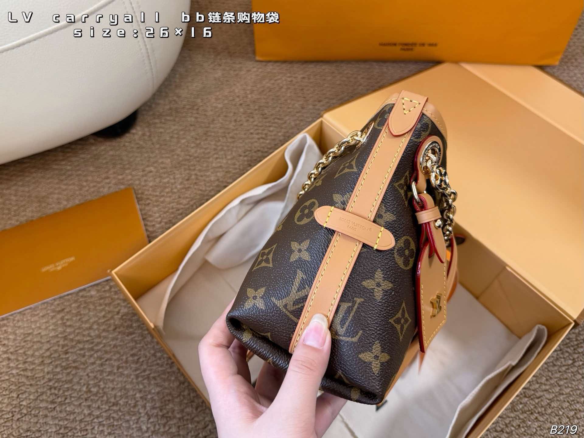 LV Carryall BB Monogram Canvas Chain Hobo Crossbody Bag