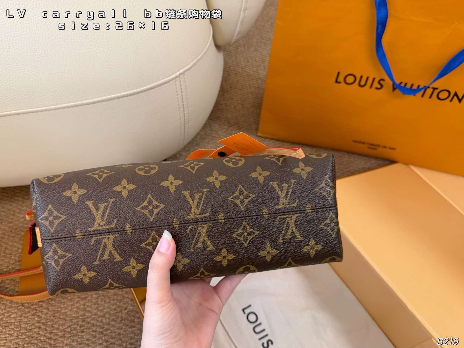 LV Carryall BB Monogram Canvas Chain Hobo Crossbody Bag