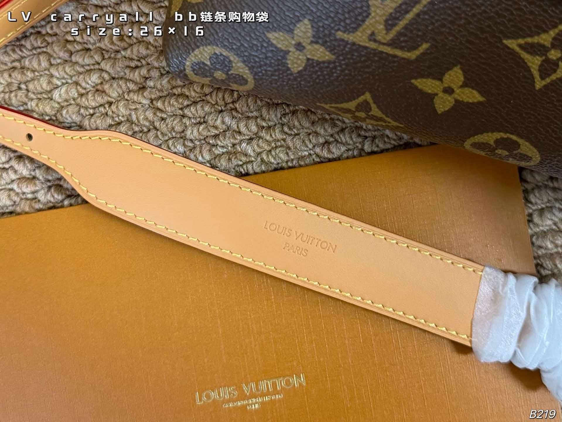 LV Carryall BB Monogram Canvas Chain Hobo Crossbody Bag