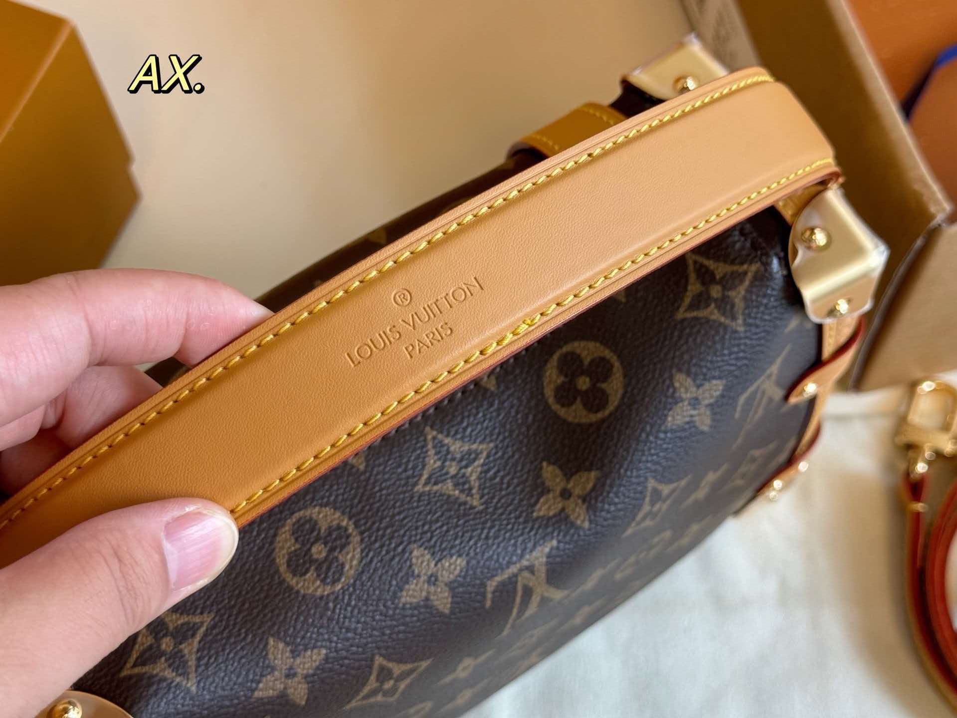 LV Side Trunk Monogram Soft Box Large Crossbody Bag