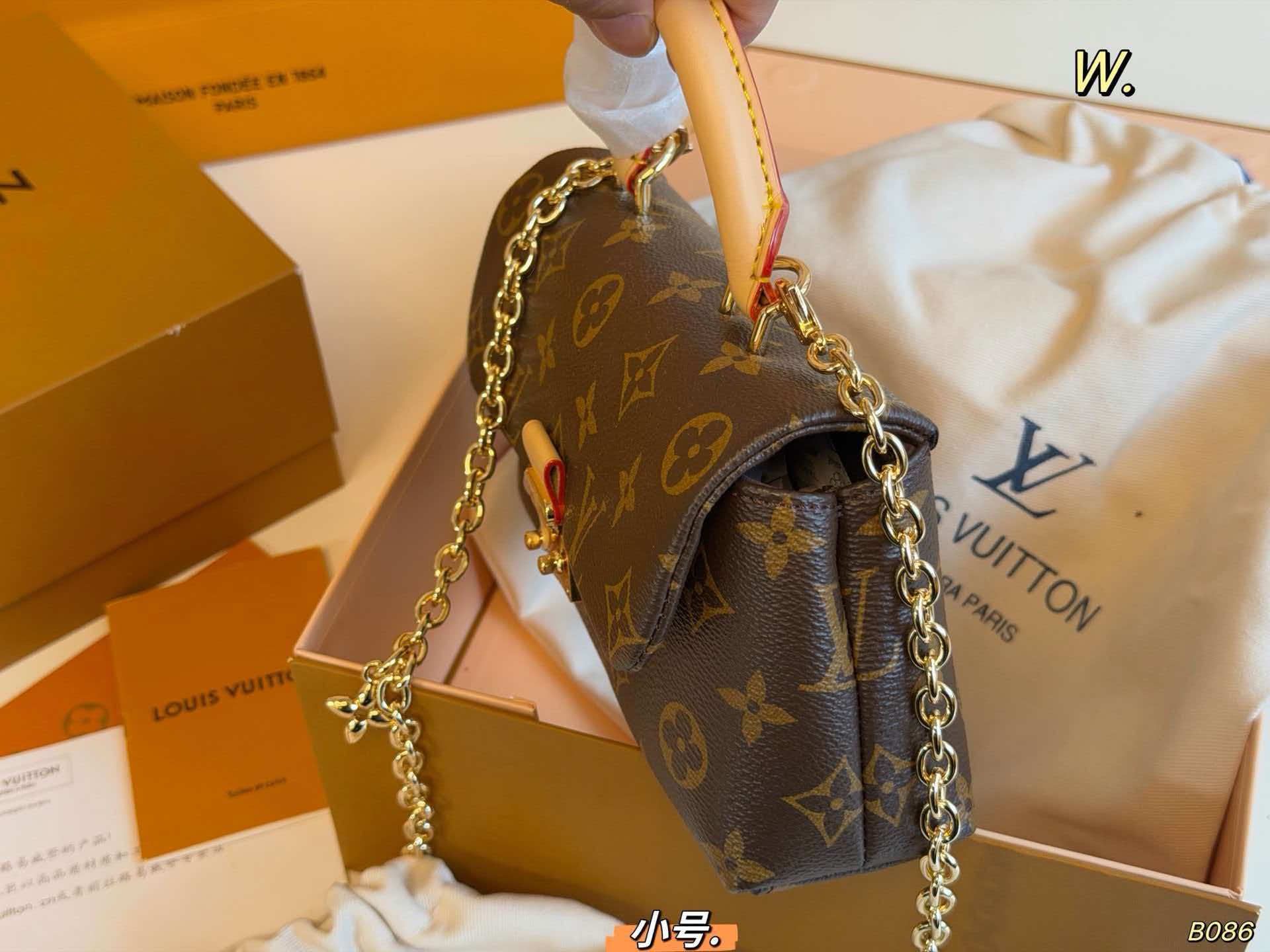 LV Nano Madeleine Monogram Chain Crossbody Bag