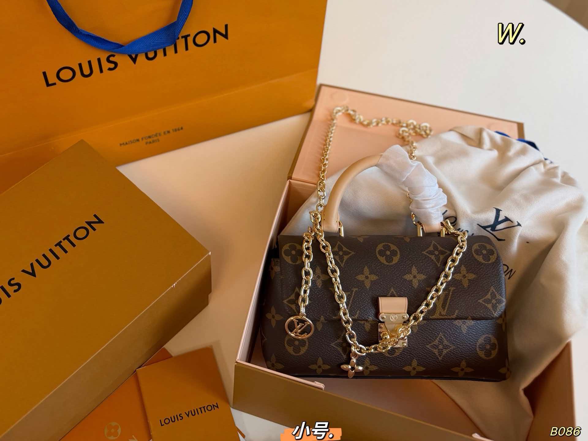 LV Nano Madeleine Monogram Chain Crossbody Bag