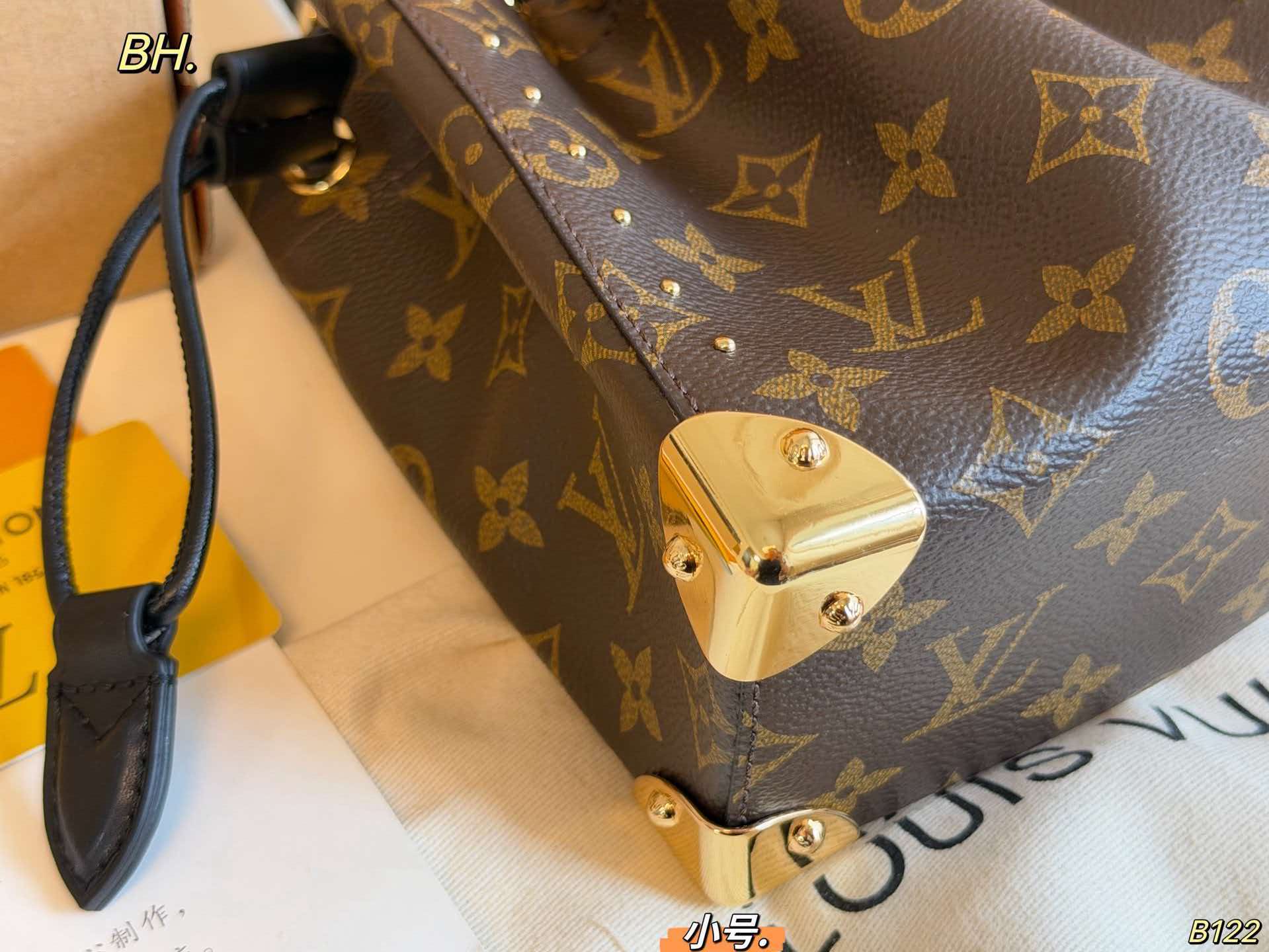 LV Nano Noé Trunk Monogram Bucket Crossbody Bag