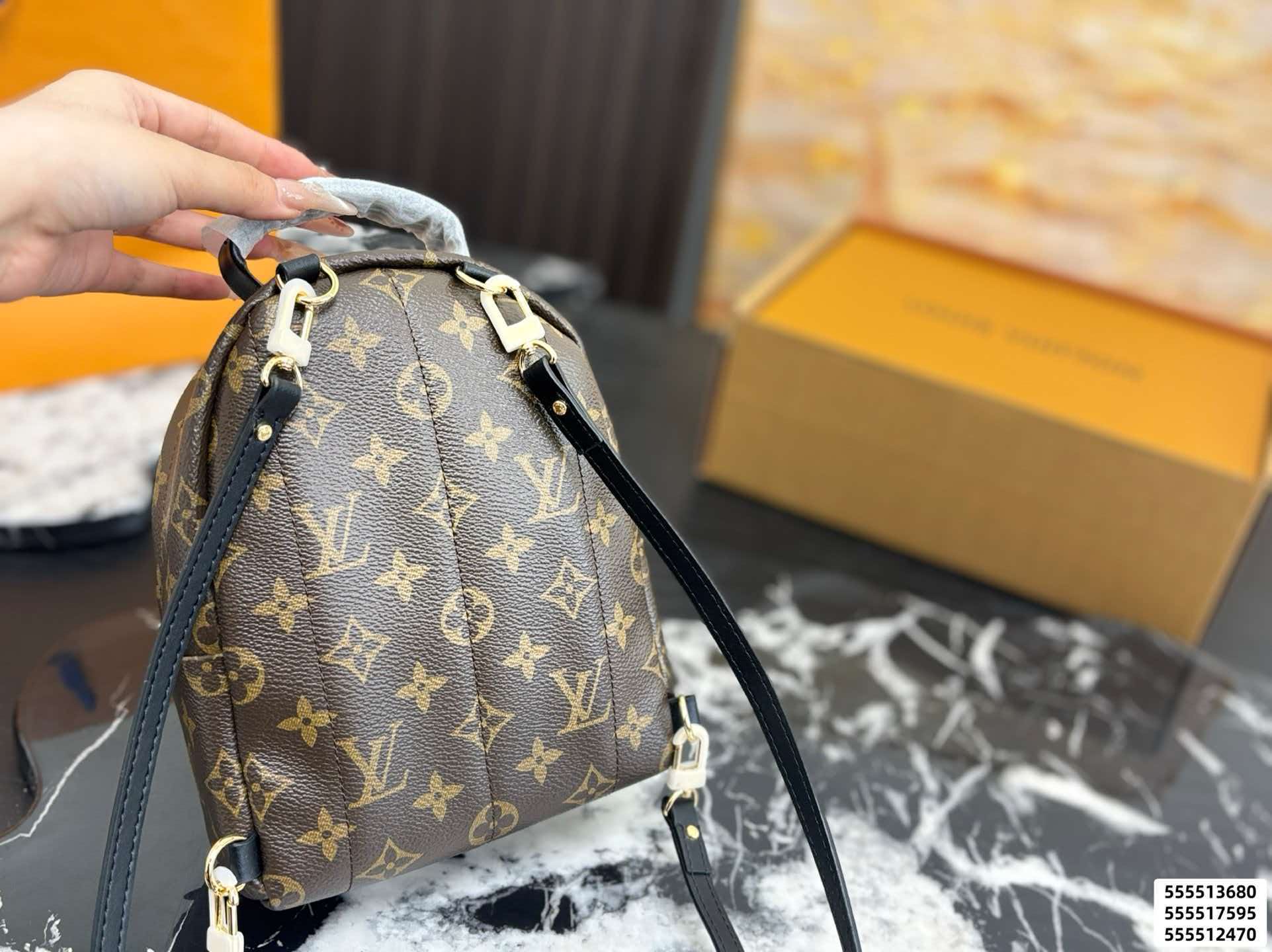 LV Palm Springs PM Monogram Backpack Bag