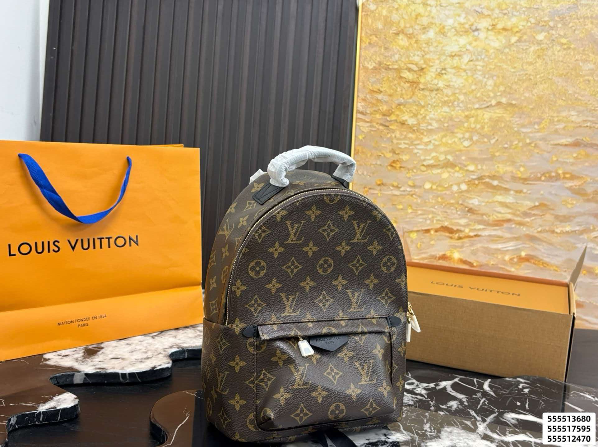 LV Palm Springs PM Monogram Backpack Bag