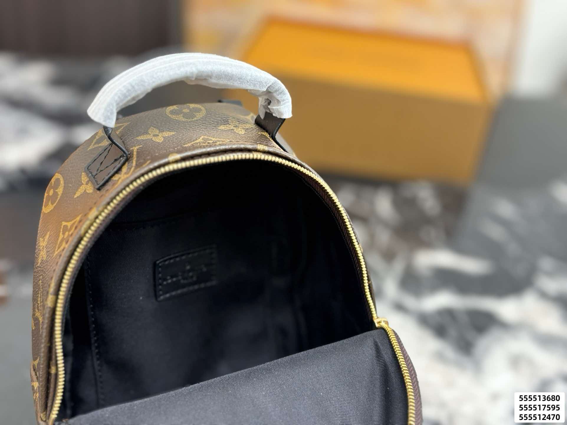 LV Palm Springs PM Monogram Backpack Bag