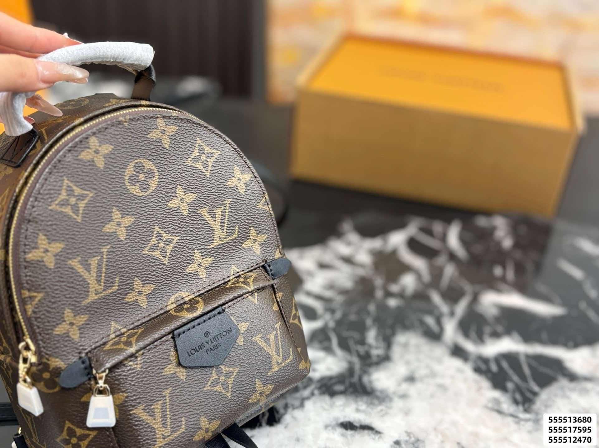LV Palm Springs PM Monogram Backpack Bag