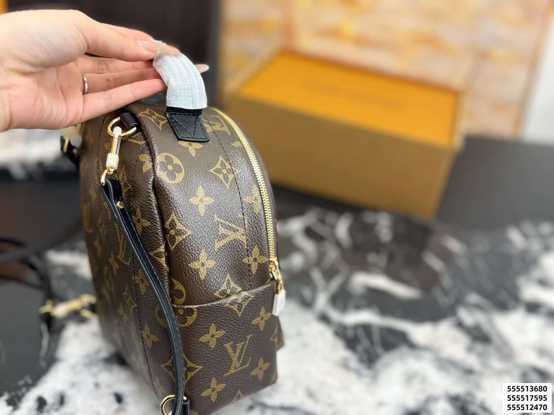 LV Palm Springs PM Monogram Backpack Bag