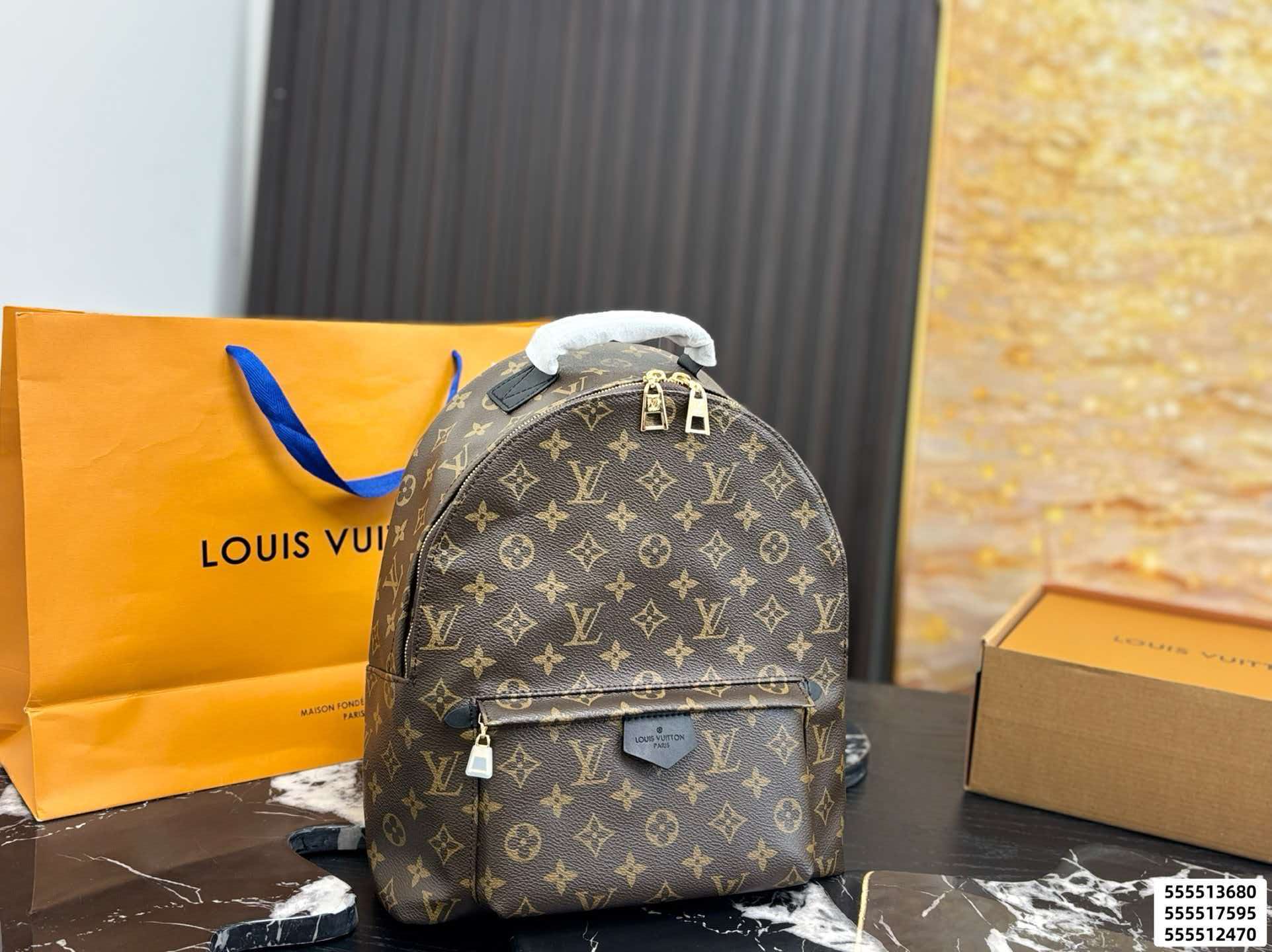 LV Palm Springs PM Monogram Backpack Bag